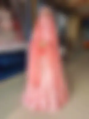 Fariha Tahsin  - 18 years, Jashore